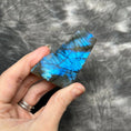 Load image into Gallery viewer, Labradorite Crystal #615 - Studio Selyn
