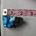 Load image into Gallery viewer, Labradorite Crystal #618 - Studio Selyn
