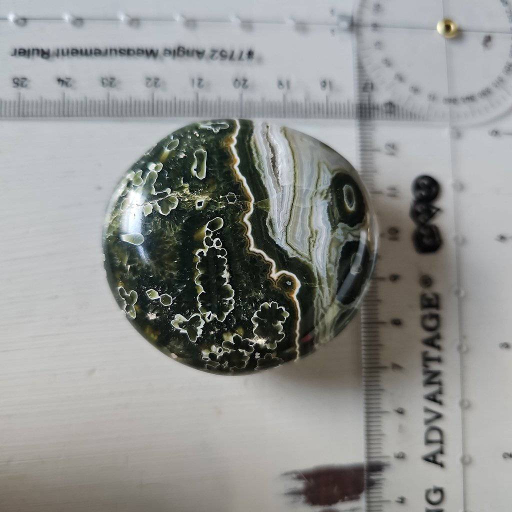 Ocean Jasper Palm Stone Crystal #664 - Studio Selyn