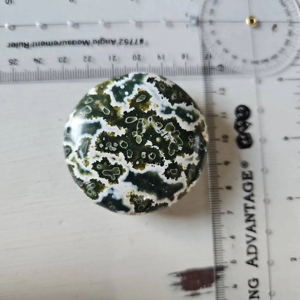 Ocean Jasper Palm Stone Crystal #665 - Studio Selyn