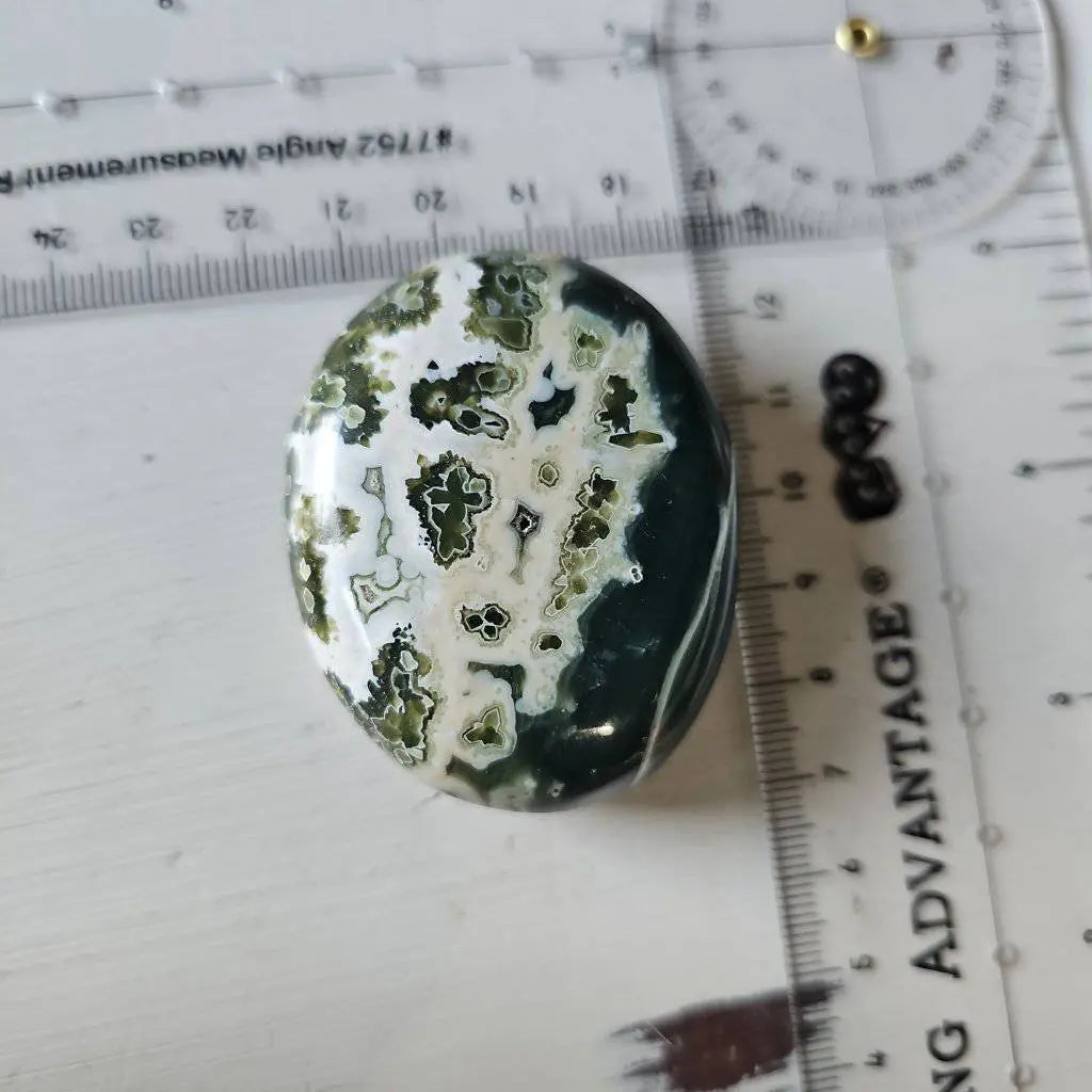 Ocean Jasper Palm Stone Crystal #666 - Studio Selyn