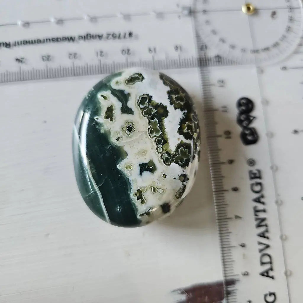 Ocean Jasper Palm Stone Crystal #666 - Studio Selyn