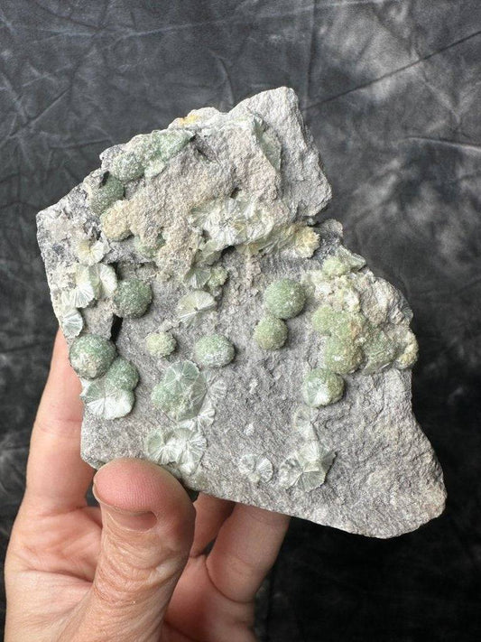 Wavellite Crystal #476 - Studio Selyn