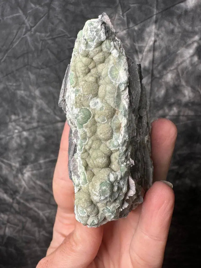 Wavellite Crystal #481 - Studio Selyn