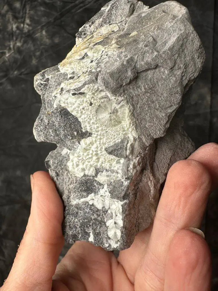 Wavellite Crystal #475 - Studio Selyn