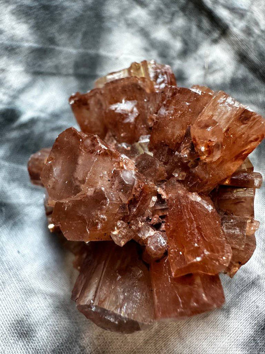 Red Aragonite Crystal Star Cluster #493 - Studio Selyn