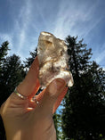 Load image into Gallery viewer, Smoky Elestial Quartz Crystal #216 - Studio Selyn
