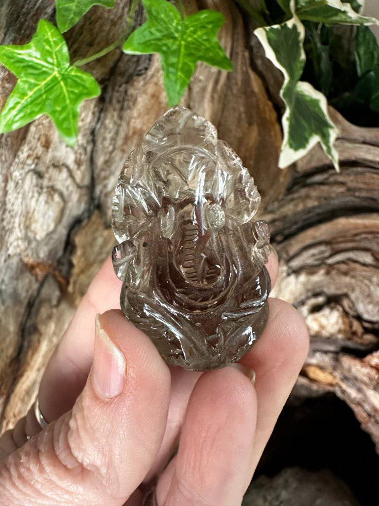 Smoky Quartz Crystal #260 - Studio Selyn
