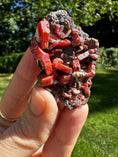 Load image into Gallery viewer, Vanadinite Crystal #259, - Studio Selyn
