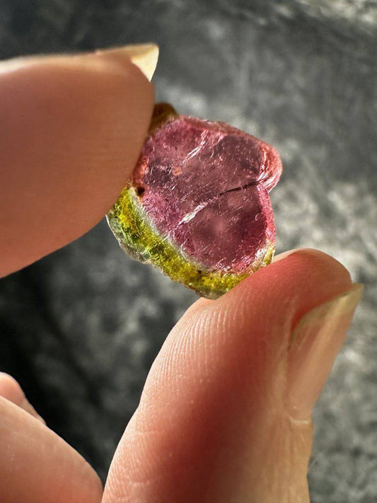 Watermelon Tourmaline Crystal #279 - Studio Selyn