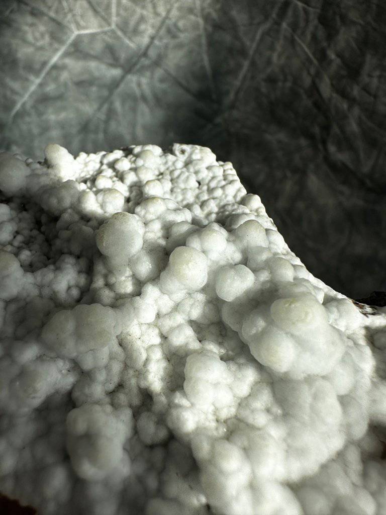 White Aragonite Crystal #19 - Studio Selyn