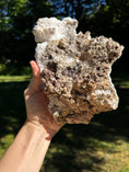 Load image into Gallery viewer, White Aragonite Crystal #459 - Studio Selyn
